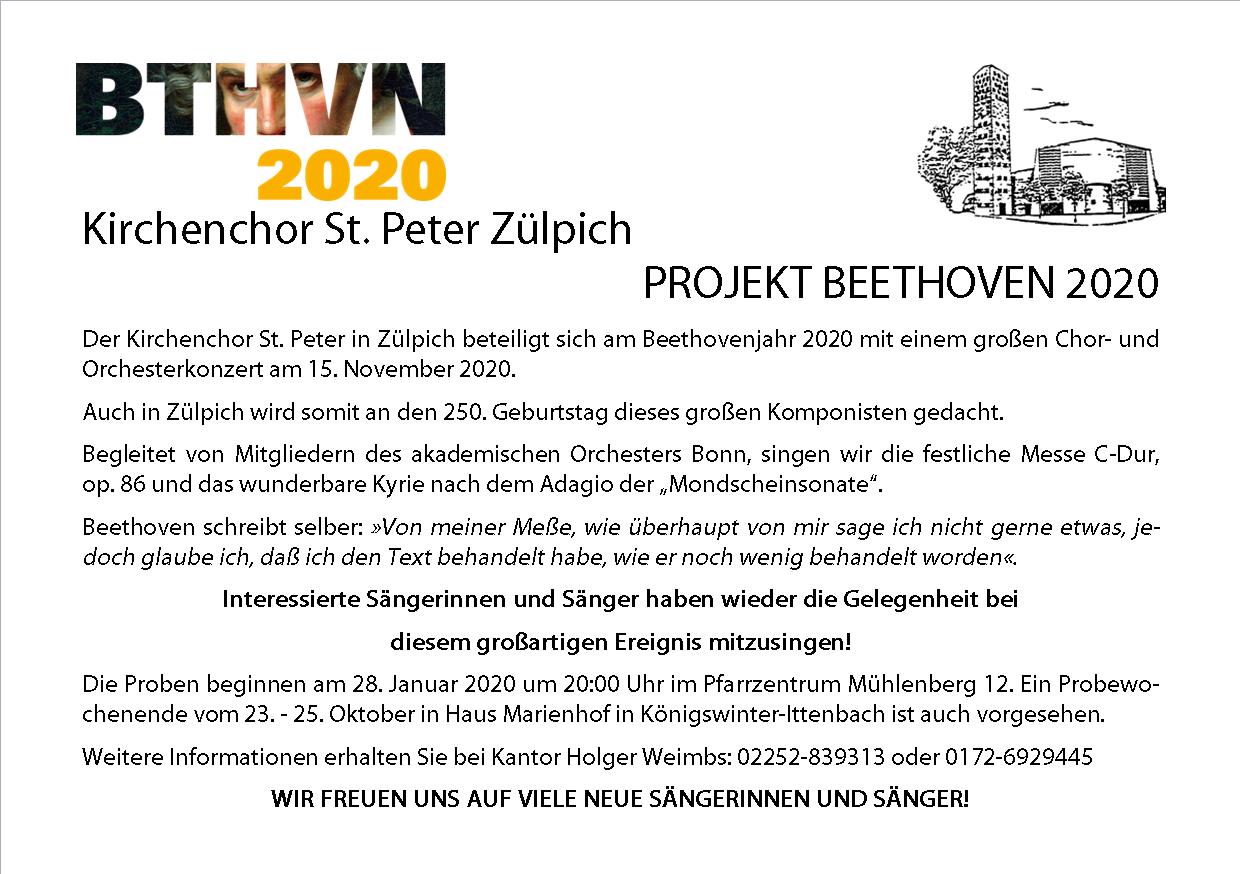 Beethoven Projektsänger-innen